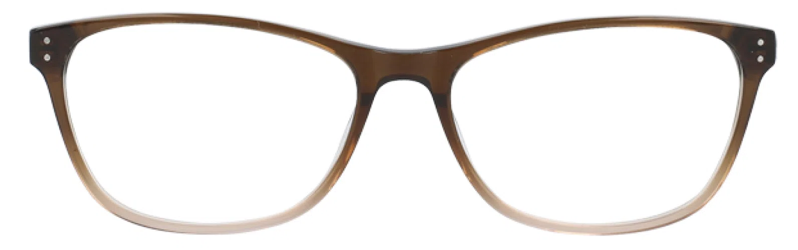 Via Spiga VSGiada Eyeglasses - view 21